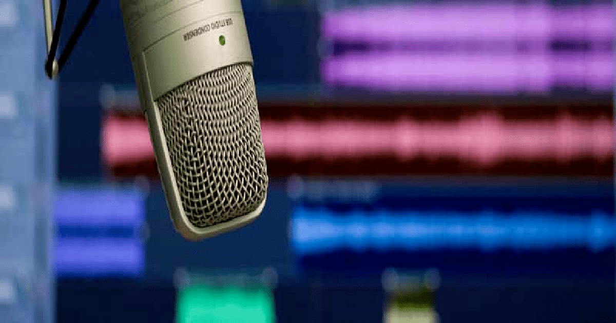 How To Make Your Voice Over Work Website Professional