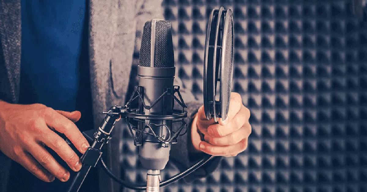 How to Find the Best Professional Voice Over Service in India